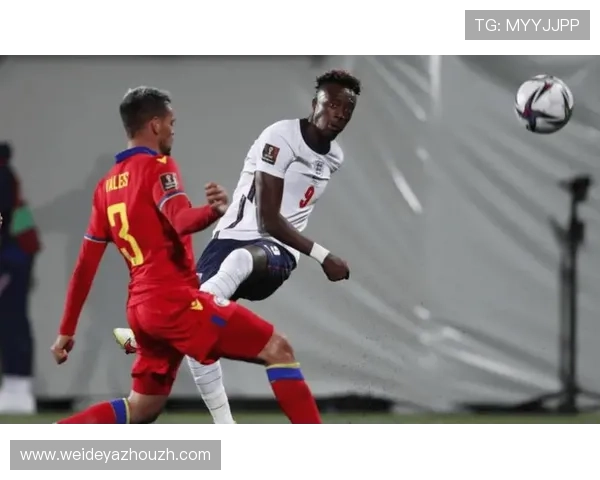 伟德足球:打造专业足球赛事平台的最佳选择 伟德足球:打造专业足球赛事平台的最佳选择