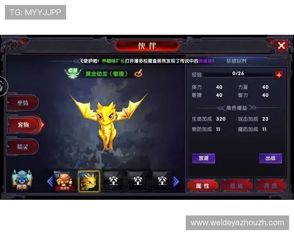 新宝娱乐用户注册流程详解，快速注册成为会员开启专属福利和精彩游戏体验