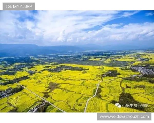 金沙体育平台最新优惠活动全面解析助你轻松赢取丰厚奖励